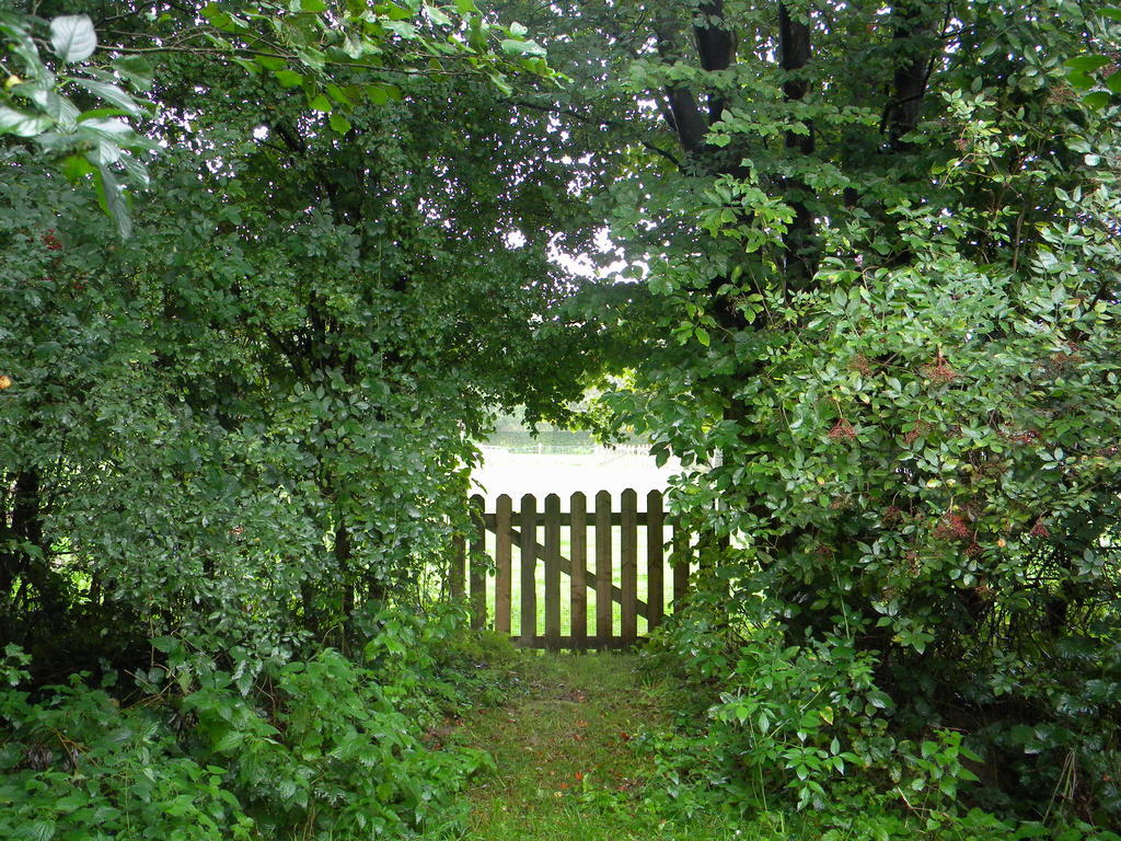 Petrus Wittebrood Hoeve Dikkelvenne Exterior foto